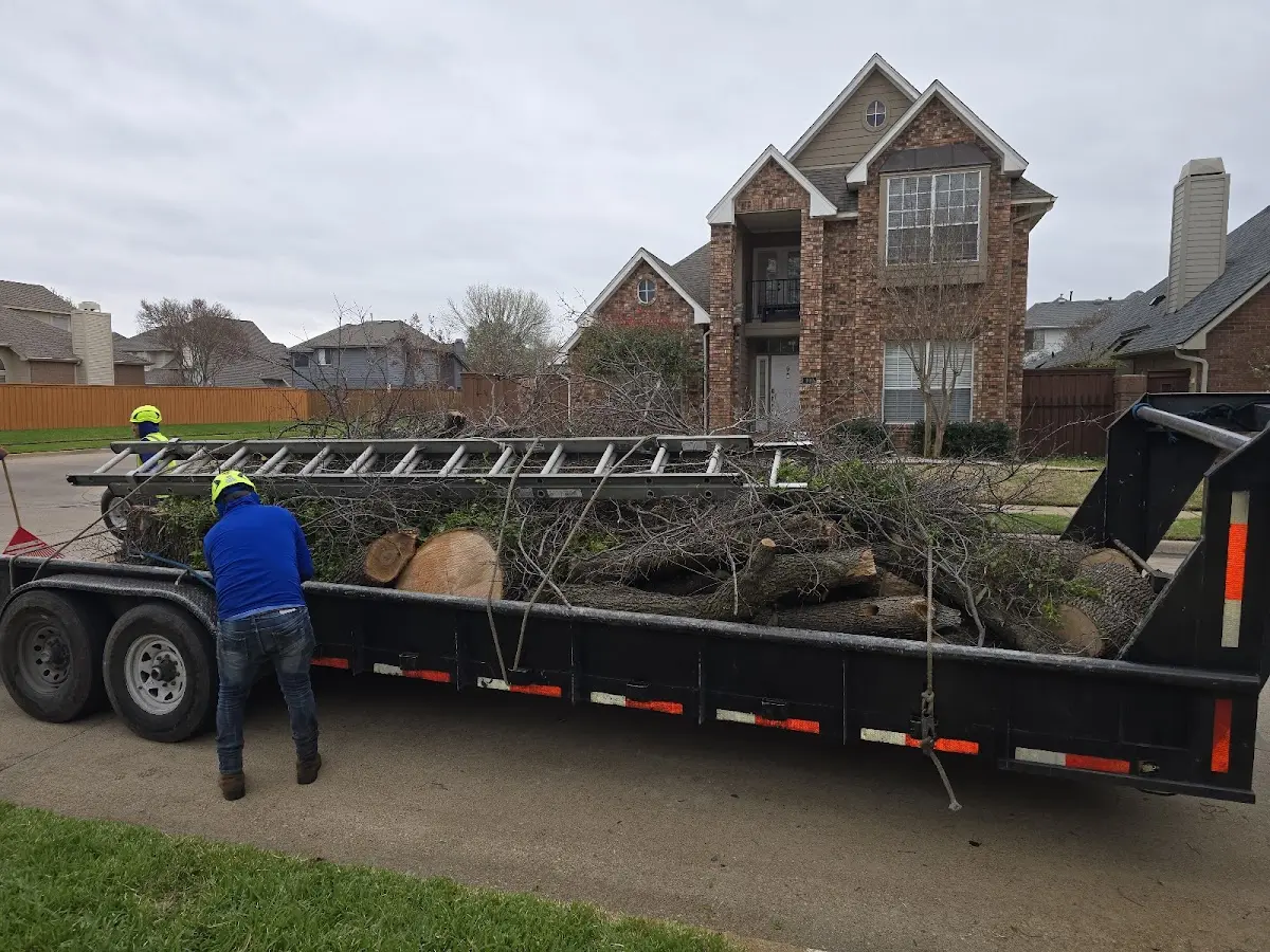 Expert Crown Reduction with proper safety equipment in Shawneetown